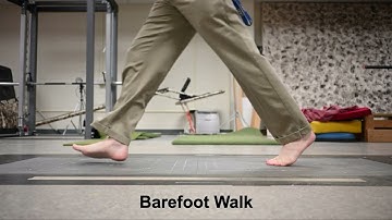 KNH 381L - Lab 7 Demo Video