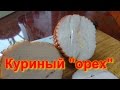 Куриный "орех"