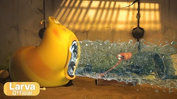Swimming  | Animation Compilation | Larva Tuba | Official