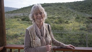 Virginia McKenna takes two lions ‘home’ to Africa