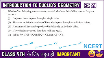 Introduction to Euclid