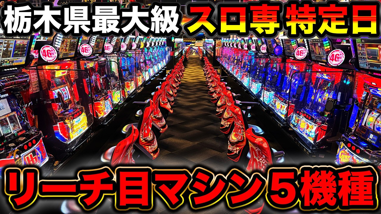 【リーチ目マシン5機種】栃木県スロ専の特定日に最後尾入場！12時間立ち回った結果がとんでもないことになった…【A PROJECT機種のみで設定狙い136日目】