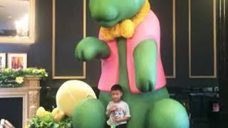 Universal Studios Japan (USJ) photo and video compilation
