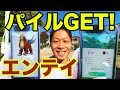 【ポケモンGO】エンテイ弱っ！6人で余裕勝ち！パイルでアメ12個ゲットなり！