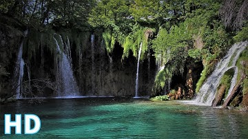 Phong Cảnh Thác Nước Tự Nhiên| Video HD | Video HD Miễn Phí | Video Không Bản Quyền