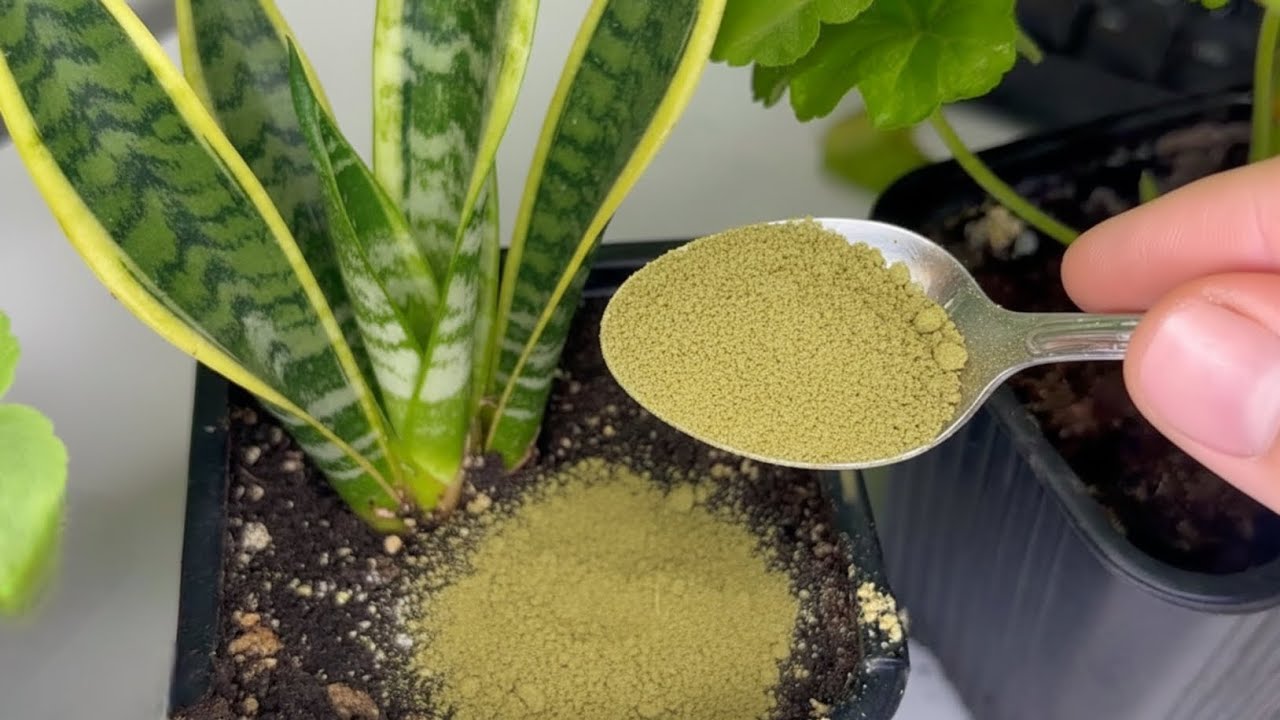 Улучшенная почва, здоровые растения — простое природное решение!