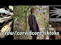 Crow/Corvidcore tiktoks