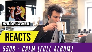 Producer Reacts to ENTIRE 5SOS Album - CALM