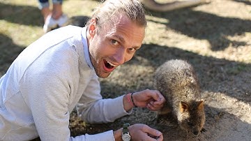 Americans Meet Australian Wildlife For The First Time