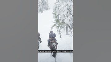 Red Dead Redemption 2 Gameplay #shorts #gaming #Red Dead