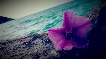 6 ايات خاشعه من سورة ال عمران ( تلاوه تفوق الوصف ) HD