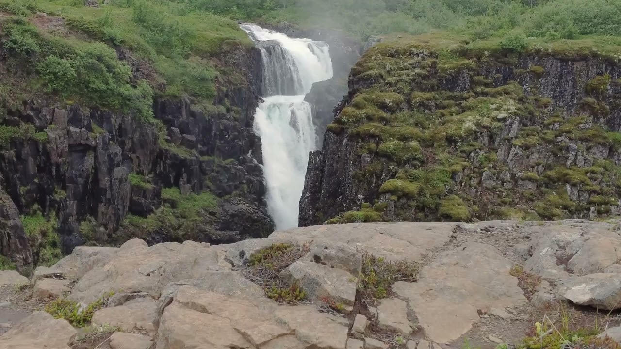 Kalmeer het Zenuwstelsel – Natuur & Piano