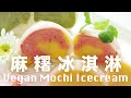 麻糬冰淇淋【雪糕糯米滋】冷凍麻糬不變硬 一口透心涼 Homemade Mochi Icecream Recipe Vegan