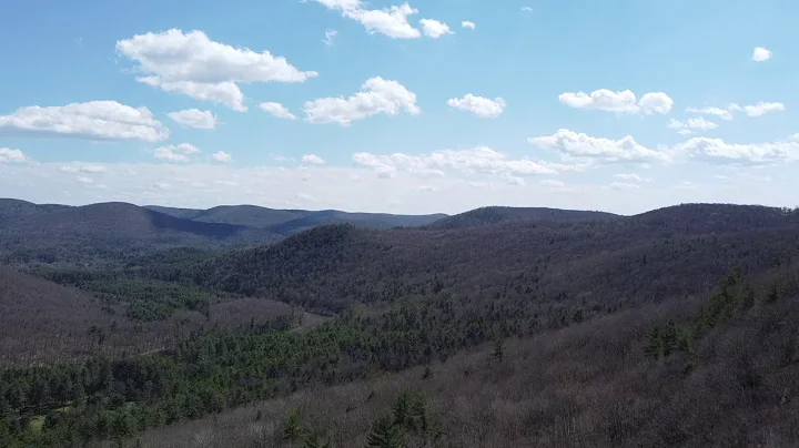 Pine Knob Bird's View