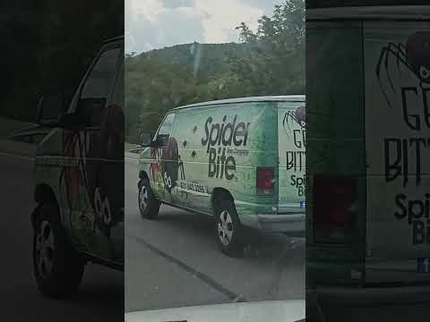 الماركيتنج في أمريكا رايح في داهية متلاقيش علاقة بين أسم المنتج او اللوجو الدعاية مصر