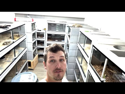 I'm BACK & Getting rid of my snakes...