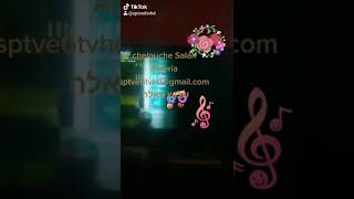 sptve9804