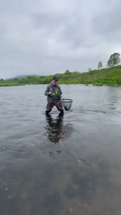 Рыболовная жизнь , как она есть ))) #камчатка #поймал #поймалотпусти # ...