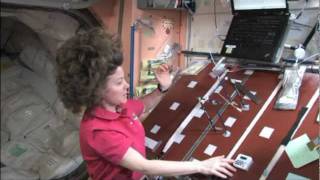 Kids in Micro-g: Pondering the Pendulum