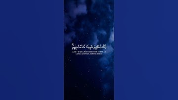 اكتب شيء تؤجر عليه 💙 🤍 ما قلت لهم إلا ما أمرتني به #محمد_الغزالي #سورة_المائدة #قران #اكسبلور #quran