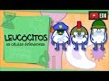 Quiz sobre Leucócitos e Defesa do Corpo