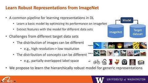 Hierarchically Robust Representation Learning