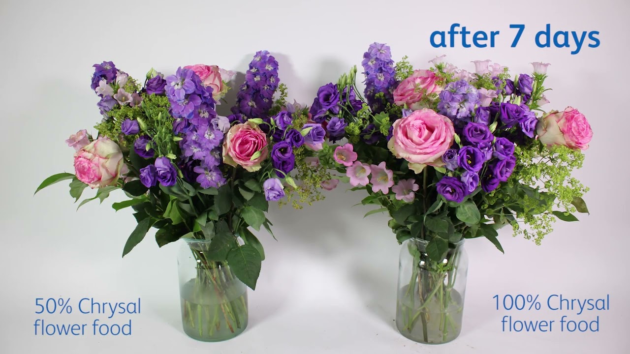 The effect of underdosing Chrysal flower food on a mixed bouquet