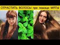 МЯТА☘️ - УСКОРИТ РОСТ ВОЛОС. КАК ОТРАСТИТЬ ВОЛОСЫ и КАК ОСТАНОВИТЬ ВЫПАДЕНИЕ. СРЕДСТВО ДЛЯ ВОЛОС.