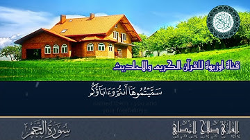 تلاوة رائعة القارئ صلاح المصلي سورة النجم 🏵️🌼🕋🌻🌹