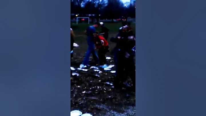 Pie Fight