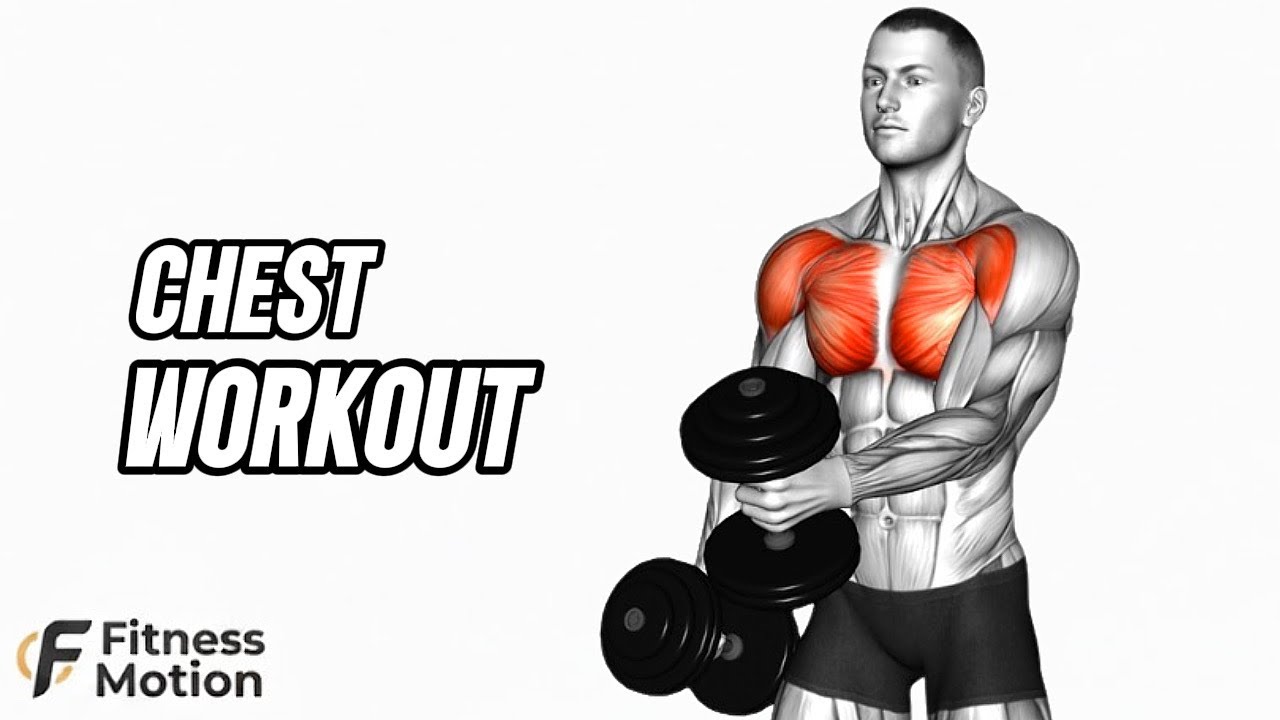 Chest Workout for Beginners | Build Bigger Chest | Fit Motion - YouTube