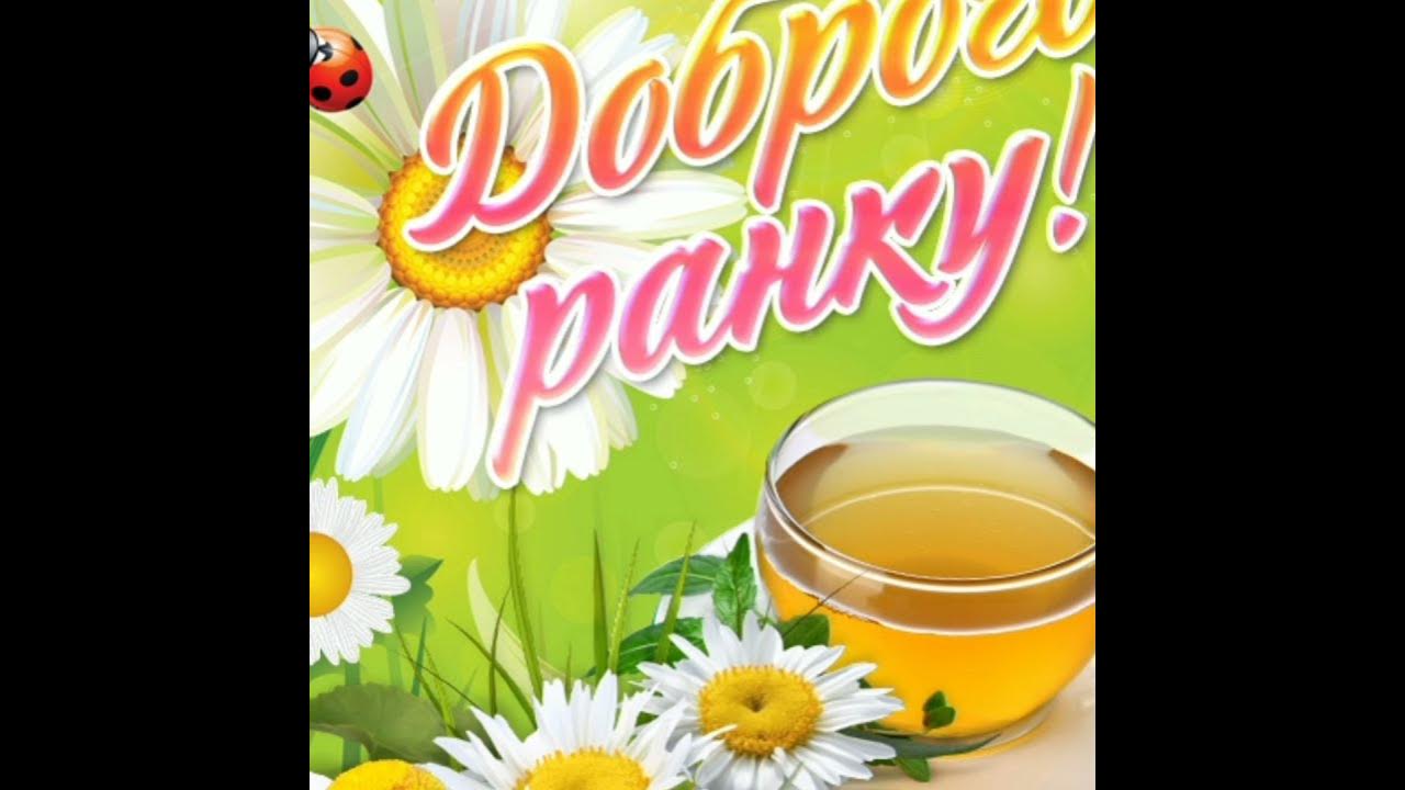 привітання доброго ранку. пожелания доброго ранку. побажання доброго ранку. открытки доброго ранку. добрые пожелания на украинском языке.