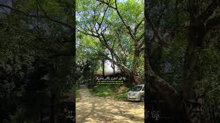 Sheikh Yasser AL Dosari ❤️🩹 #viralquranshorts #viralvideo #viral #youtubeshorts #quran #foryou