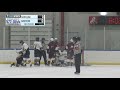 High School Hockey: Cadillac VS Davison- 01/24/20- 2ND Period