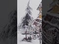 Manali Trip