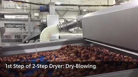 Integrated Dates Washing & Drying line (KEY Technology/Al Thika Packaging)