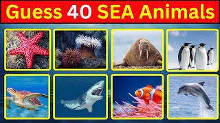 Guess 40 Sea Animals In 5 Seconds| Can You Guess All Of Them | #guesstheanimals screenshot 4