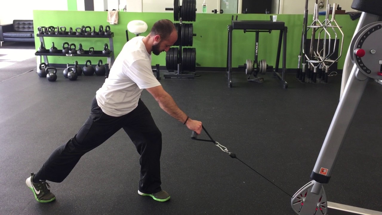 Standing Cable Row