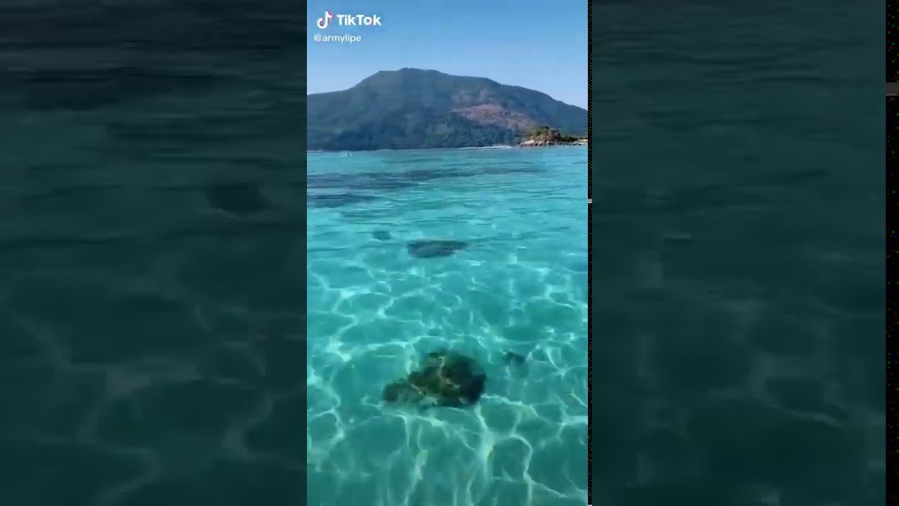 Calming Video at Sea Tik Tok Edition YouTube