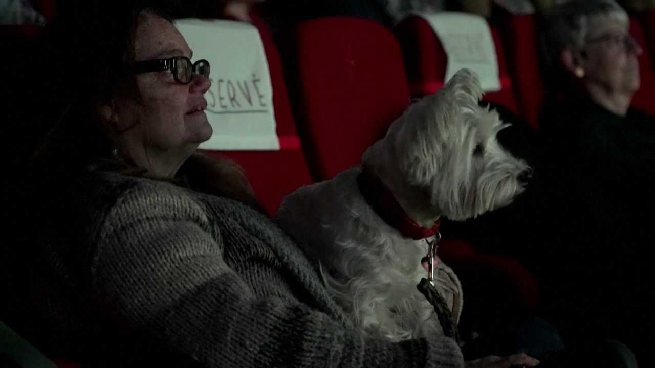 Dog-friendly Movie Theater in Paris