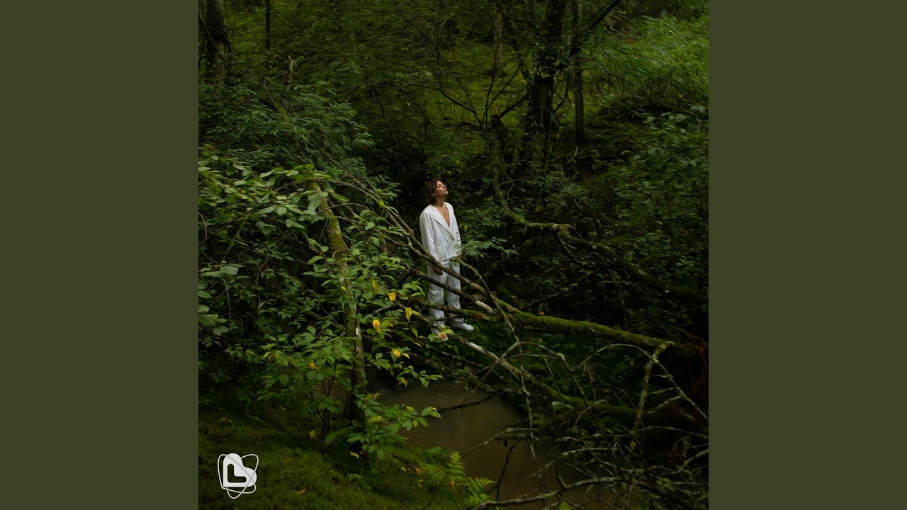 Ver Pine Trees en YouTube Ver Pine Trees en YouTube