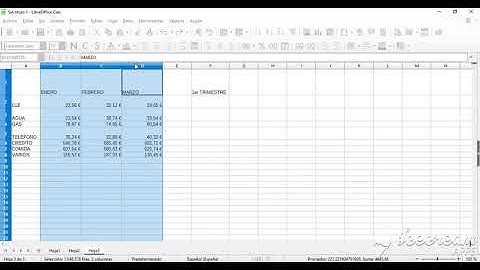 Modificar filas y columnas en calc