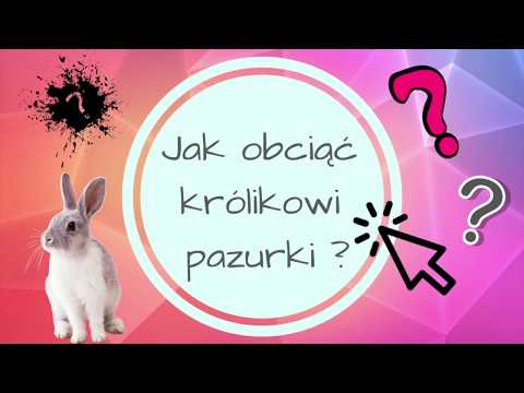 Wideo: Jak Wyciąć Pazury Królika