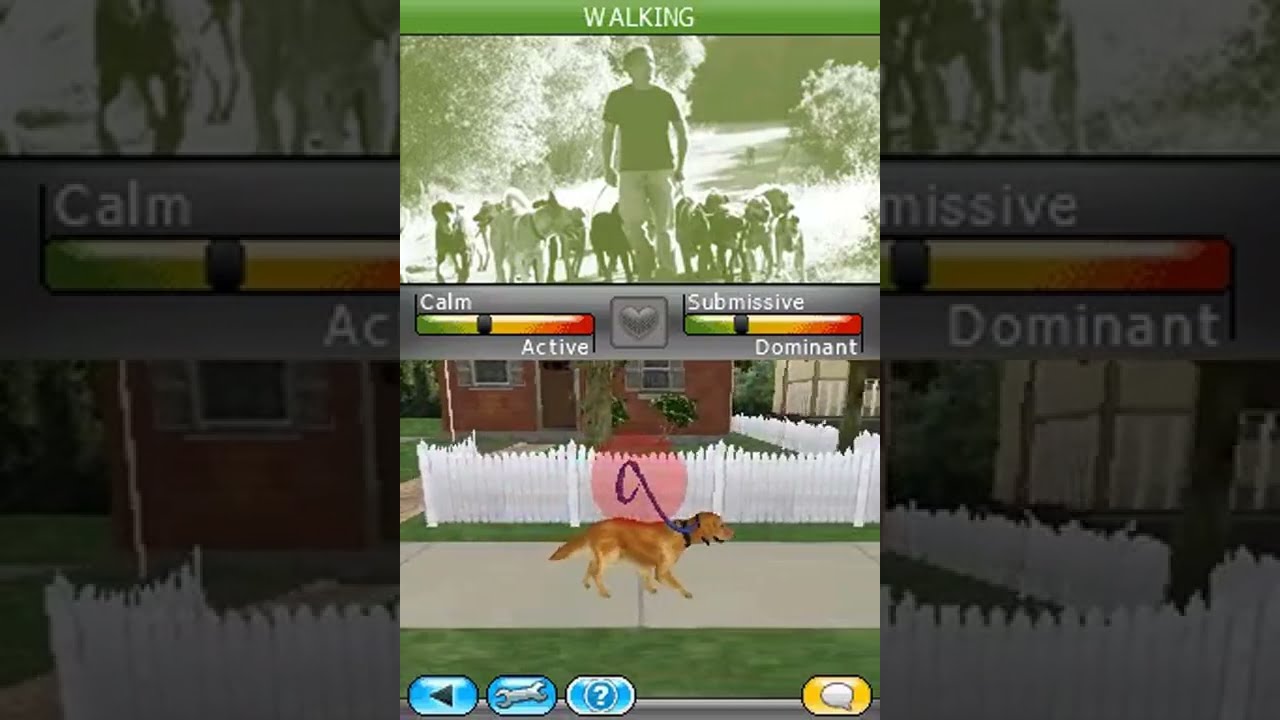 Cesar Millan's Dog Whisperer USA - Nintendo DS Gameplay