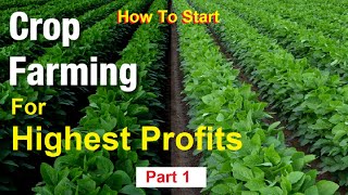 Most Profitable Agriculture Farming Business | How To Start Agriculture | Beginners Guide | Part 1 |