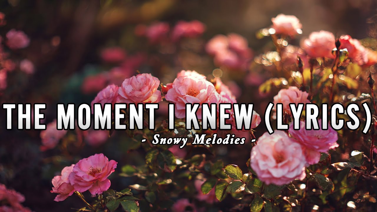 The Moment I Knew  - Snowy Melodies - Lyrics (Official HD Video)