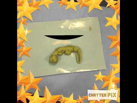 camera iphone 8 plus apk Playdough salamander