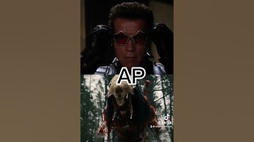 Terminator vs Predator