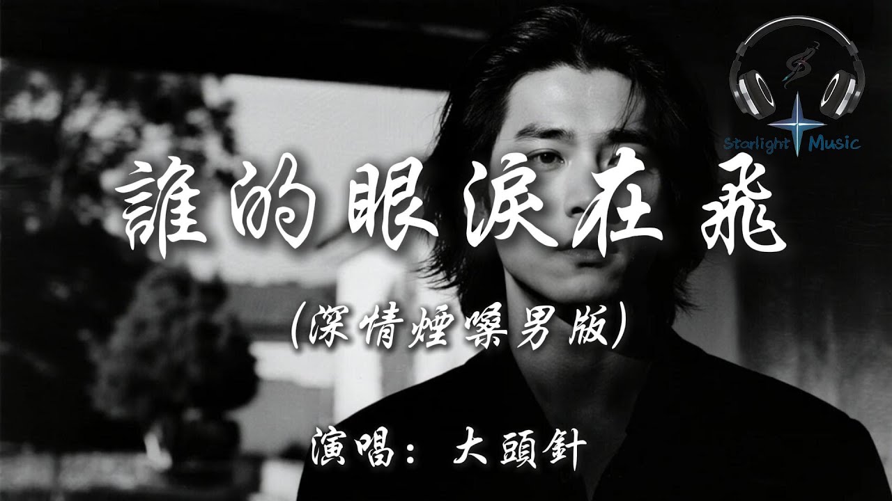 大頭針 - 誰的眼淚在飛 (深情煙嗓男版)『誰的眼淚在飛 是不是流星的眼淚』【動態歌詞MV】