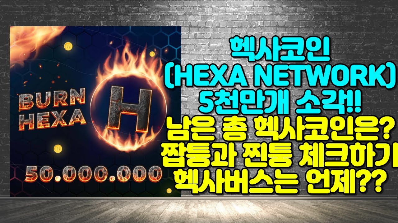 헥사코인(HEXA NETWORK) 5천만개 소각!! 남은 총 헥사코인은?? 짭퉁과 찐퉁 체크하기 헥사버스는 언제?? - YouTube